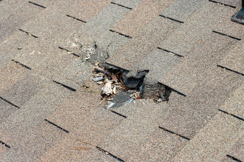 Asphalt Shingles Repair